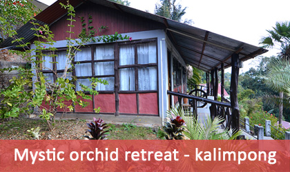 mystic-orcid-retreat-kalimpong